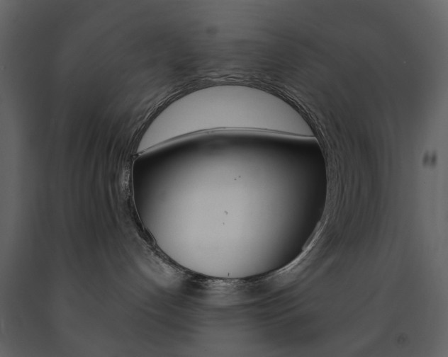 X0000091670192200708231022