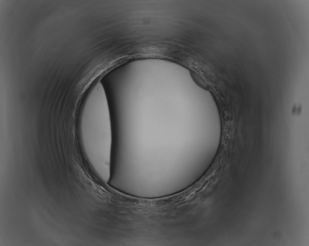 X0000091670194200708231021