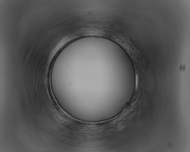 X0000091670195200708231021