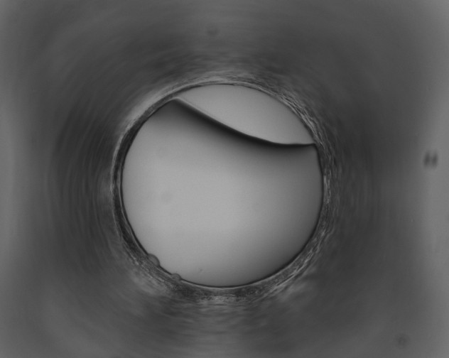 X0000091670196200708231021