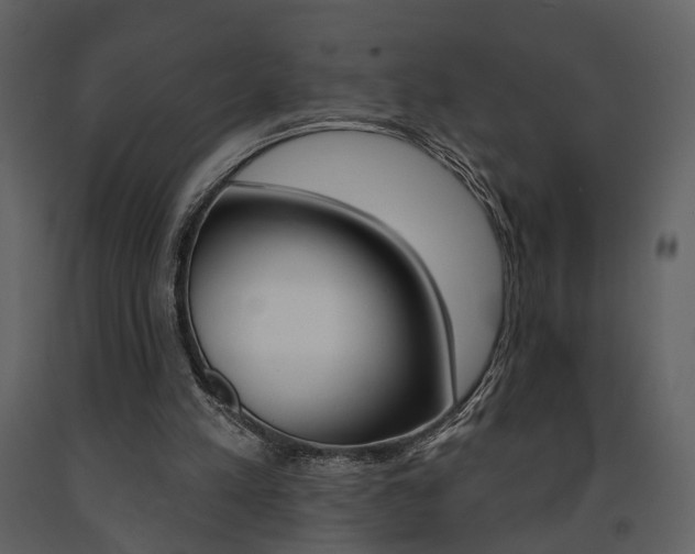 X0000091670197200708231021
