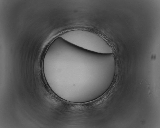 X0000091670198200708231021