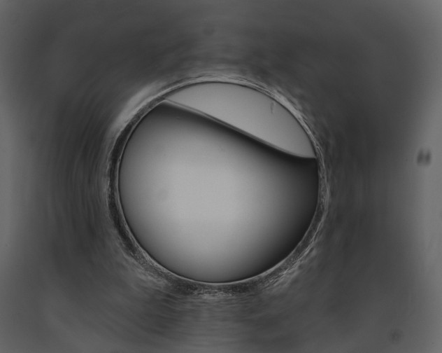 X0000091670199200708231021
