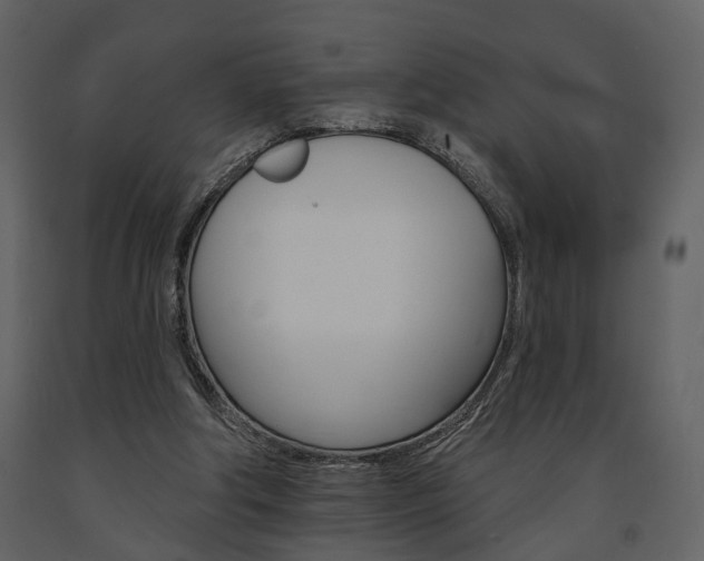 X0000091670202200708231021