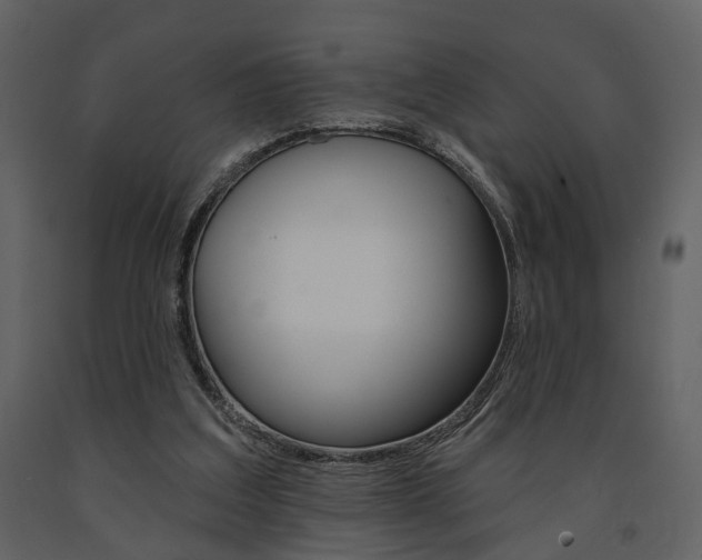X0000091670203200708231021