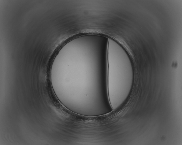 X0000091670204200708231021