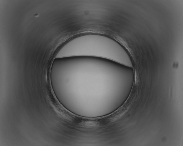 X0000091670205200708231021