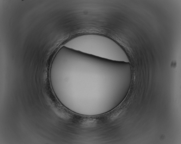 X0000091670206200708231021