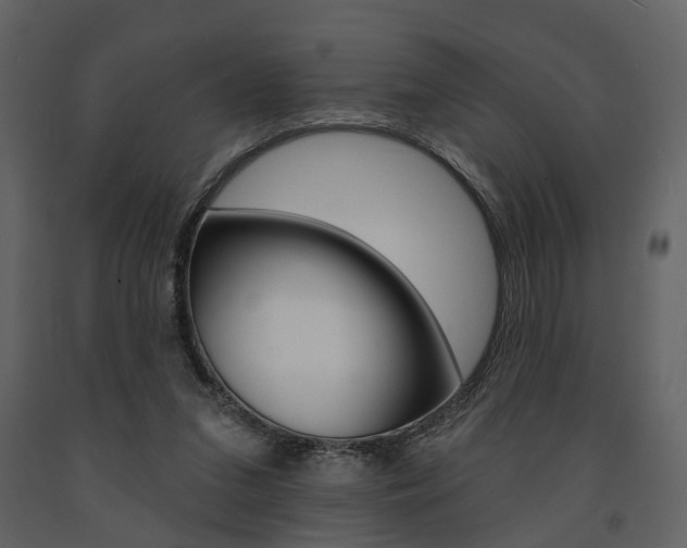 X0000091670207200708231021