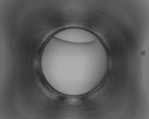 X0000091670208200708231021
