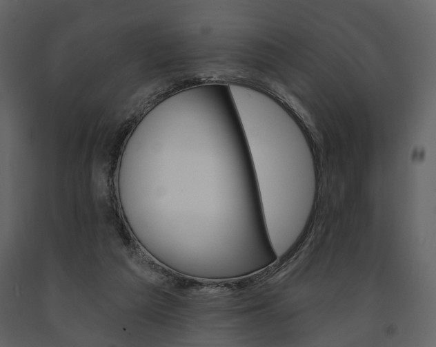 X0000091670209200708231021
