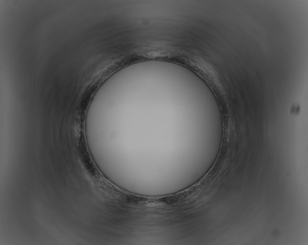 X0000091670210200708231021