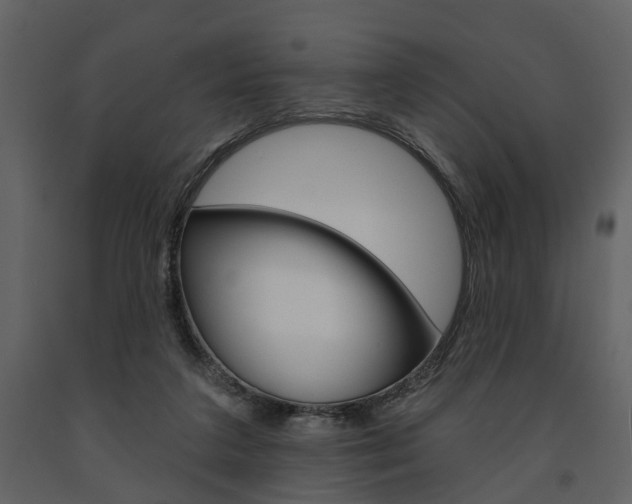 X0000091670211200708231021