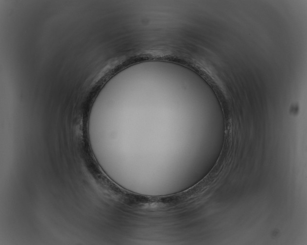X0000091670212200708231021