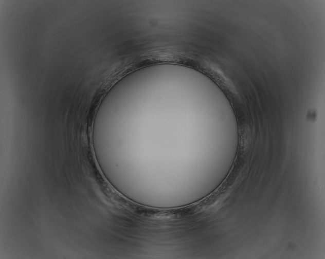 X0000091670213200708231021