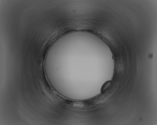 X0000091670214200708231021