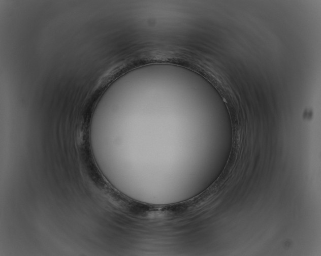 X0000091670216200708231021
