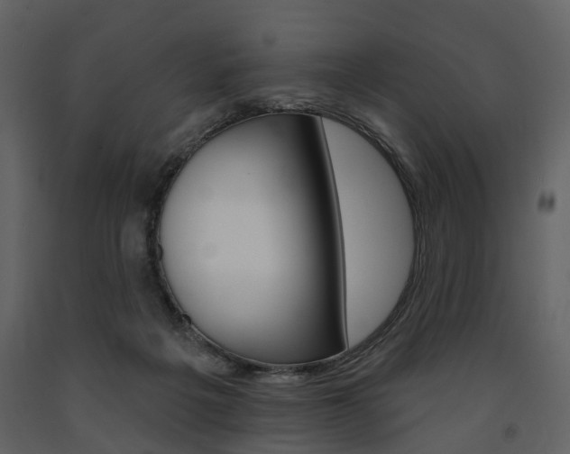 X0000091670217200708231021