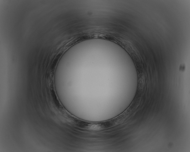 X0000091670218200708231021