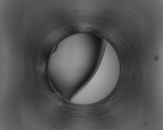 X0000091670219200708231021