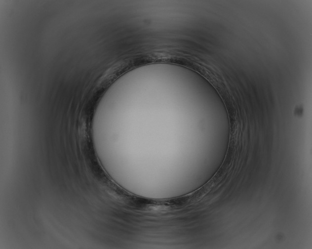 X0000091670220200708231021
