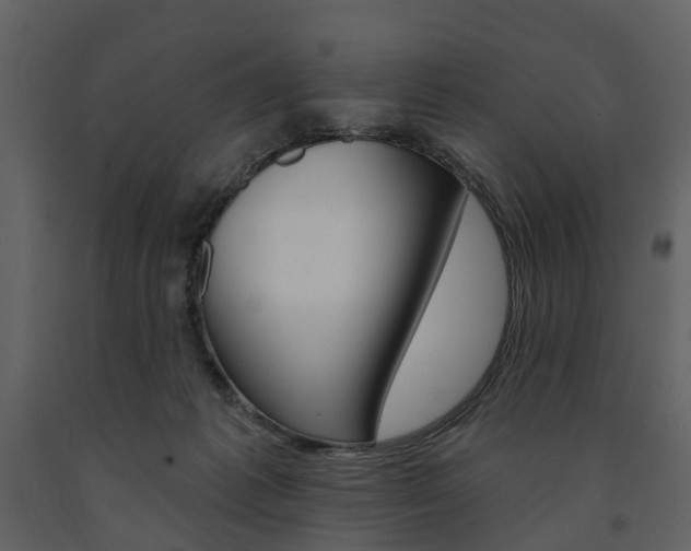 X0000091670221200708231020
