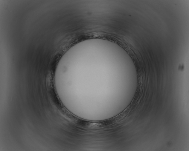 X0000091670222200708231020