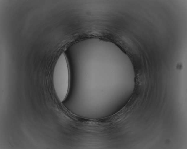 X0000091670223200708231020