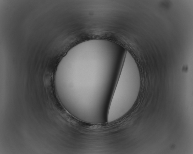 X0000091670225200708231020
