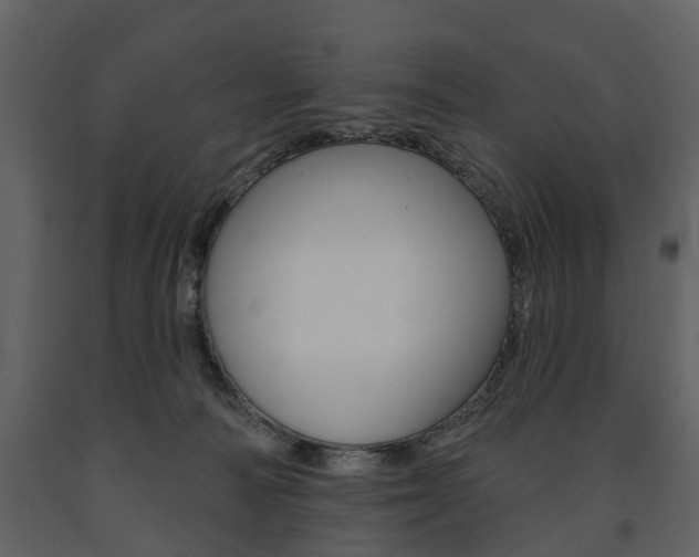 X0000091670226200708231020
