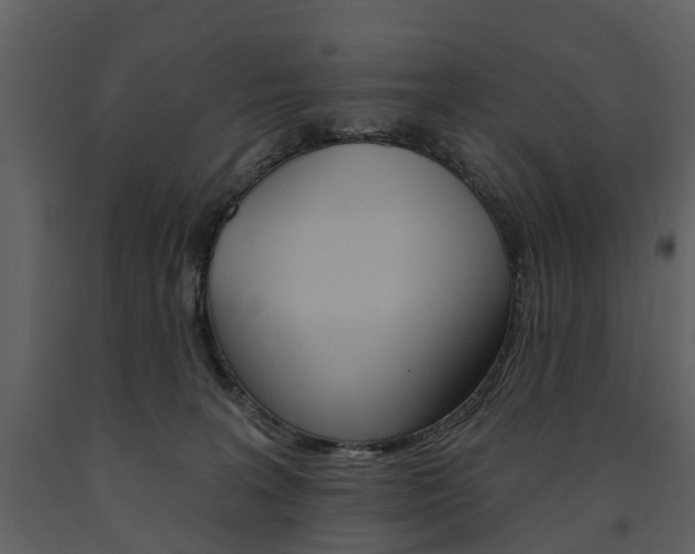 X0000091670227200708231020