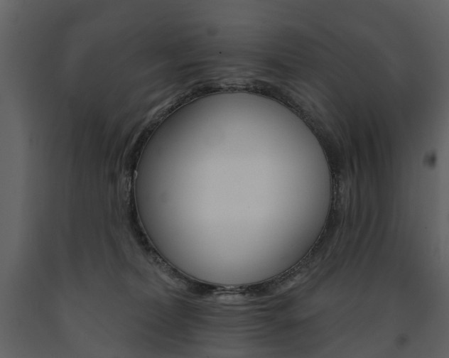 X0000091670228200708231020