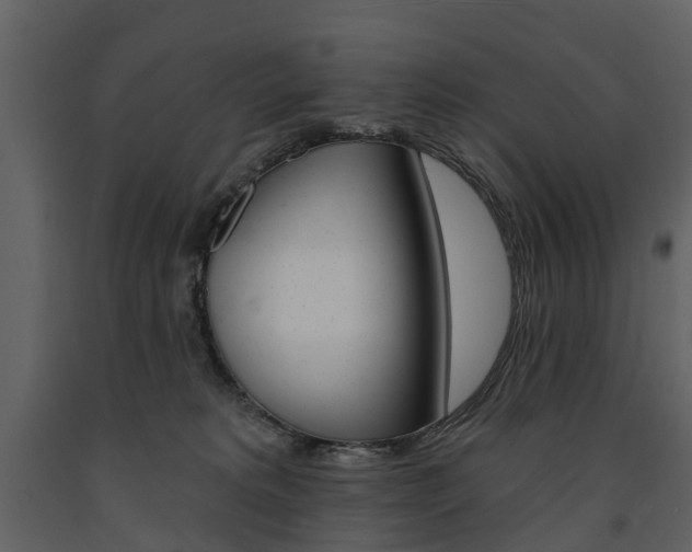 X0000091670229200708231020