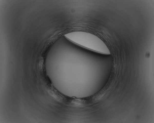 X0000091670231200708231020