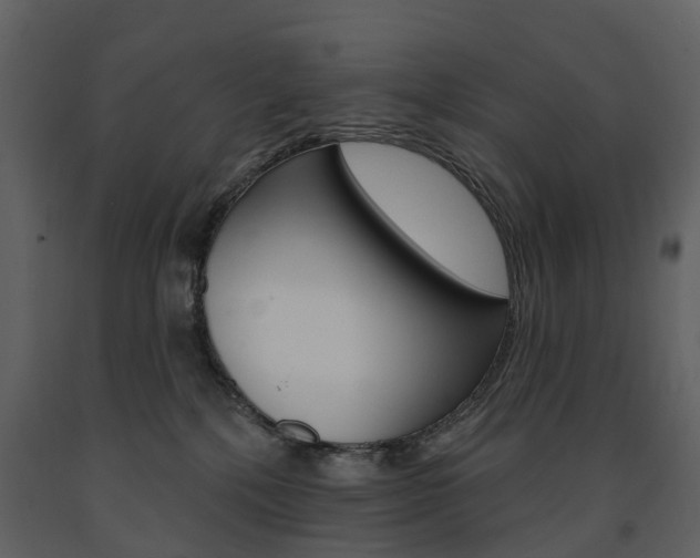 X0000091670232200708231020