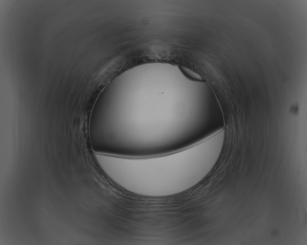 X0000091670233200708231020