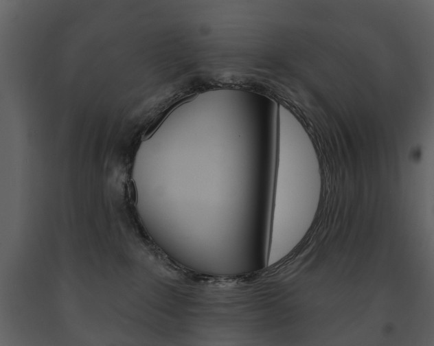 X0000091670235200708231020