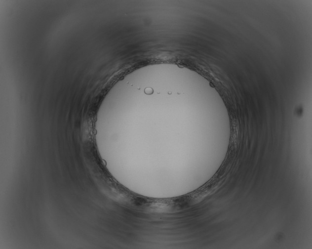 X0000091670236200708231020