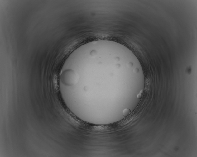 X0000091670238200708231020