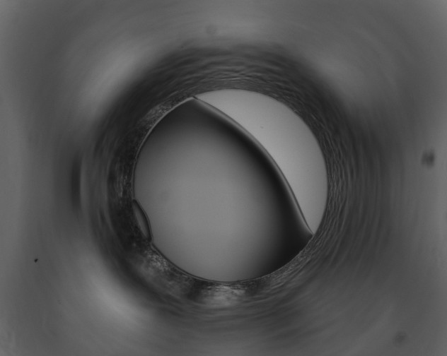 X0000091670239200708231020
