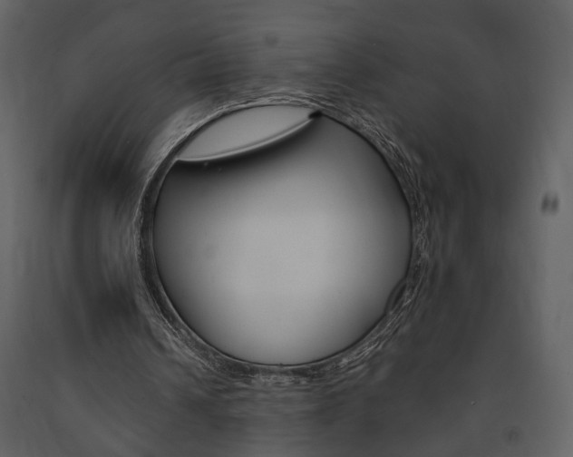 X0000091670242200708231020