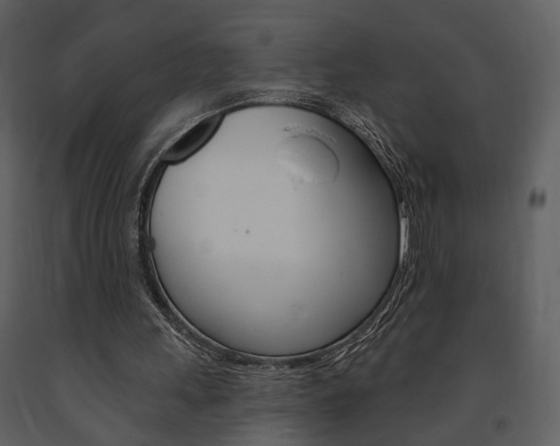 X0000091670243200708231020