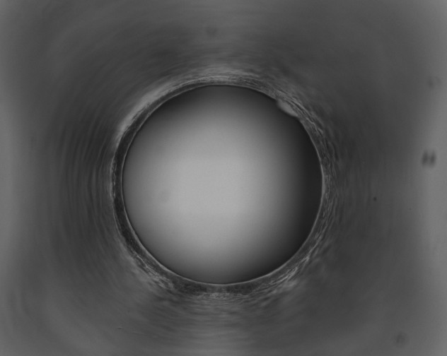 X0000091670244200708231020