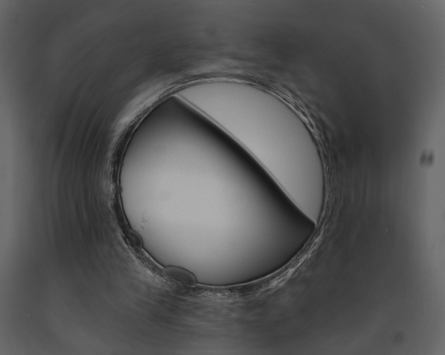 X0000091670245200708231020