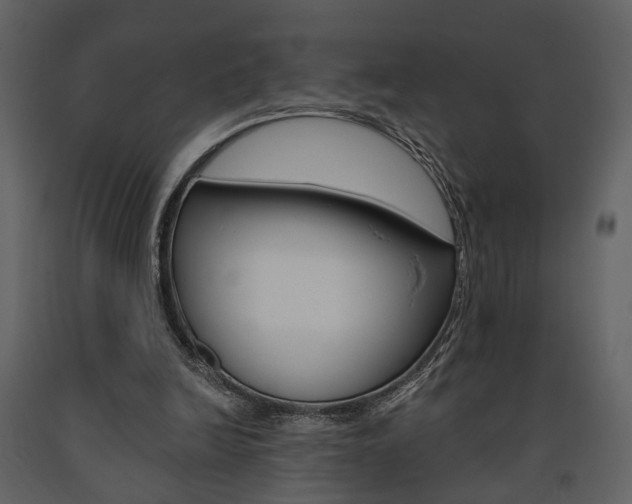 X0000091670246200708231020