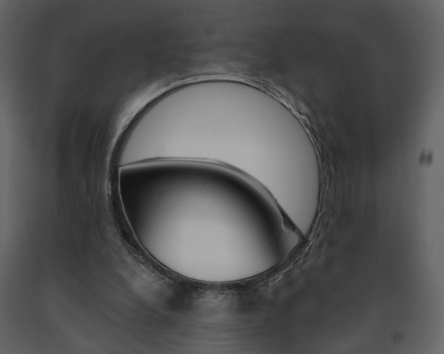 X0000091670248200708231020