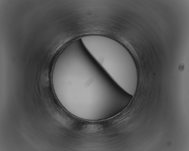 X0000091670251200708231020