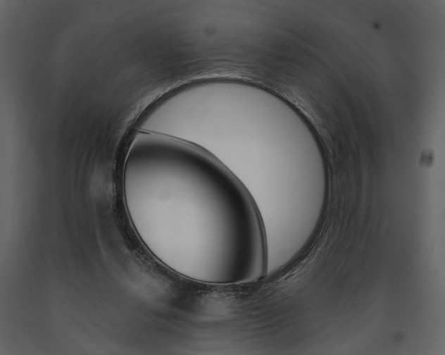 X0000091670252200708231020