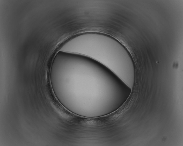 X0000091670253200708231020