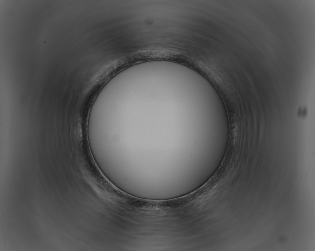 X0000091670254200708231020
